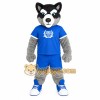 Blue Gray Black Husky Dog Mascot Costume