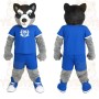 Blue Gray Black Husky Dog Mascot Costume