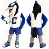 Blue White Black Blue Jay Mascot Costume