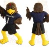 Brown Yellow Navy Falcon Mascot Costume