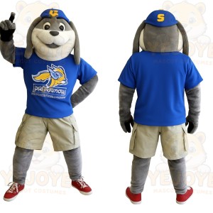 Gray Blue Beige Sports Dog Mascot Costume
