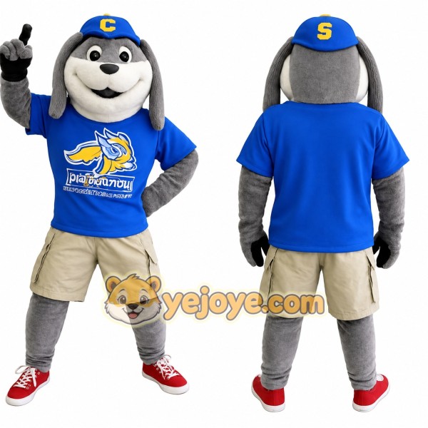 Gray Blue Beige Sports Dog Mascot Costume