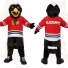 Black Red White Hawk Bird Mascot Costume