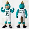 Teal Brown Basketball Rooster Mascot Costume