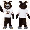 Dark Brown White Gray Eagle Mascot Costume