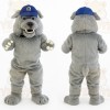 Gray Dog Blue Baseball Cap Mascot Costume