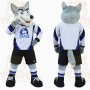 Gray White Blue Husky Sports Mascot Costume