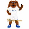 Brown White Blue Yellow Dog Mascot Costume