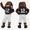 Brown Black Football Dog Mascot Costume