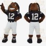 Brown Black Football Dog Mascot Costume