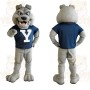 Gray Bulldog With Navy Shirt Mascot Costume