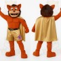 Orange Gold Superhero Cat Mascot Costume
