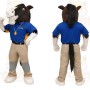 Brown White Horse With Blue Shirt Mascot Costume
