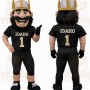 Black Gold Viking Football Player Mascot Costume