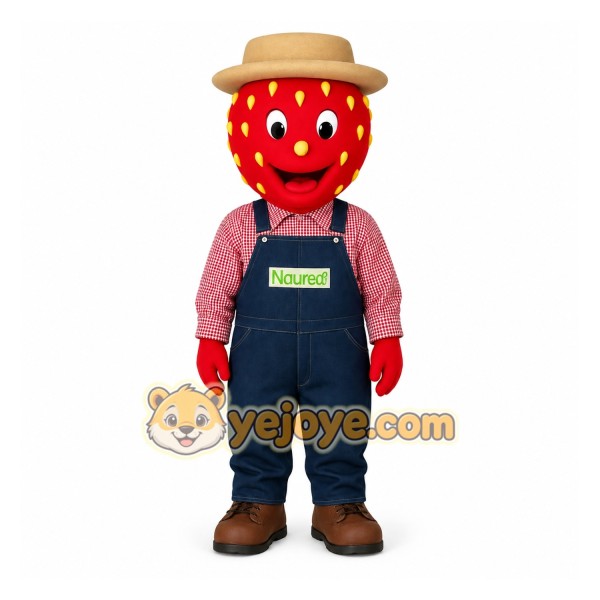Red Tan Blue Strawberry Farmer Mascot Costume