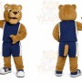 Brown Bear Sports Mascot Costume