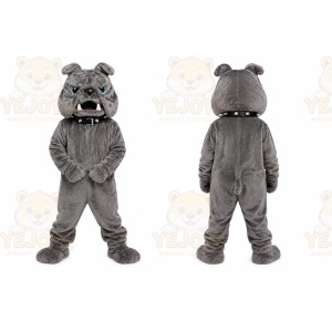 Gray Bulldog Mascot Costume