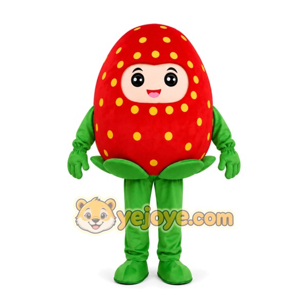 Strawberry Character Mascot Costume