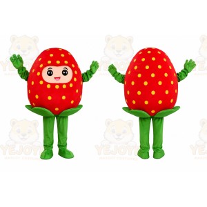 Strawberry Character Mascot Costume