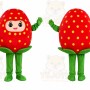 Strawberry Character Mascot Costume
