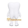 Toothbrush Tooth Mascot Costume Toothbrush Tooth Mascot Costume
