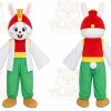 Rabbit Rainbow Outfit Mascot Costume