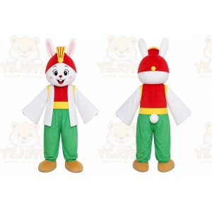 Rabbit Rainbow Outfit Mascot Costume