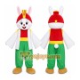 Rabbit Rainbow Outfit Mascot Costume