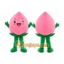 Pink Peach Mascot Costume