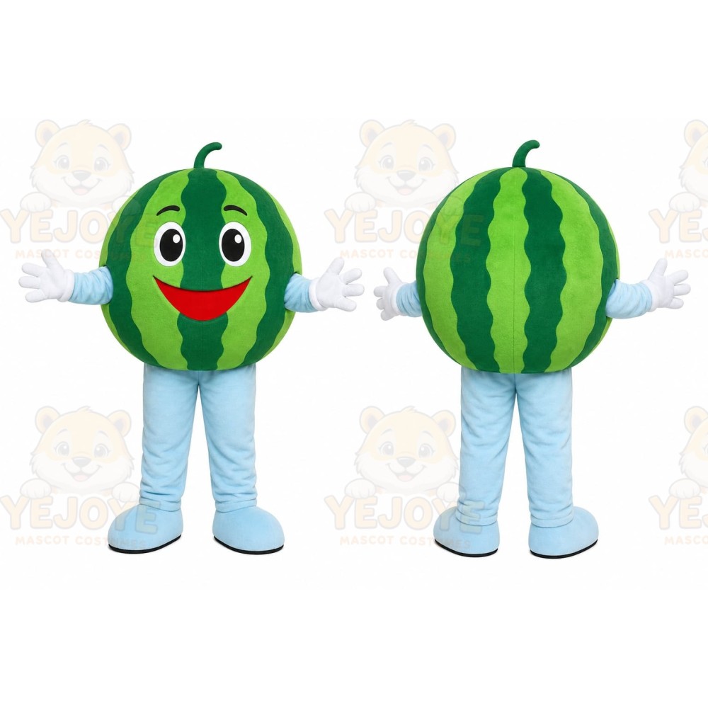 Watermelon Character Mascot Costume
