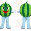 Watermelon Character Mascot Costume