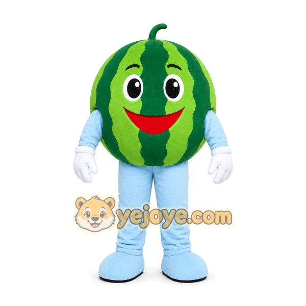 Watermelon Character Mascot Costume