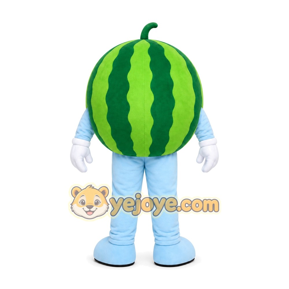 Watermelon Character Mascot Costume Watermelon Character Mascot Costume