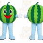 Watermelon Character Mascot Costume