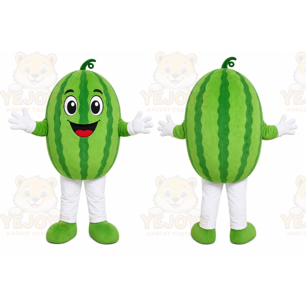 Watermelon Character Mascot Costume