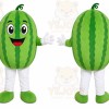 Watermelon Character Mascot Costume