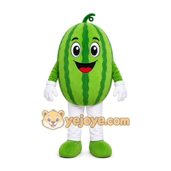 Watermelon Character Mascot Costume