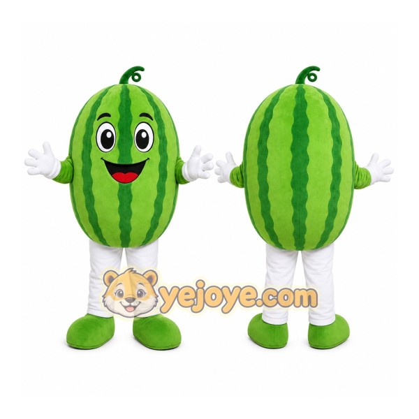Watermelon Character Mascot Costume