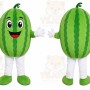 Watermelon Character Mascot Costume