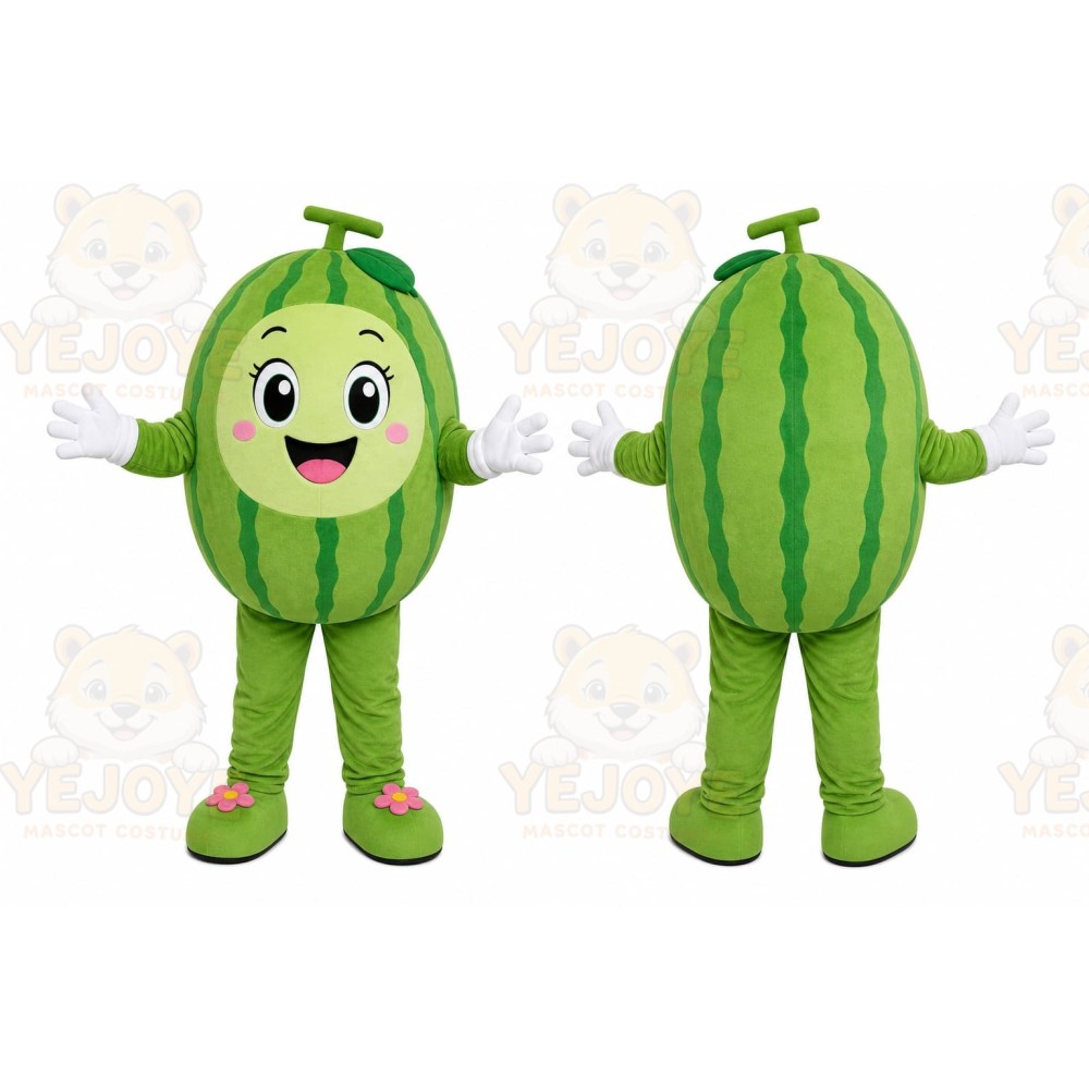 Watermelon Girl Mascot Costume
