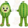 Watermelon Girl Mascot Costume