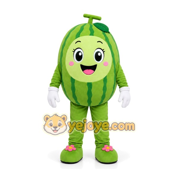 Watermelon Girl Mascot Costume