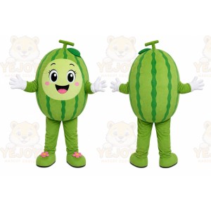 Watermelon Girl Mascot Costume