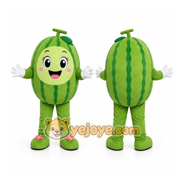 Watermelon Girl Mascot Costume