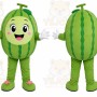 Watermelon Girl Mascot Costume