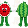 Watermelon Slice Mascot Costume