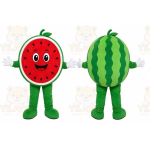 Watermelon Slice Mascot Costume