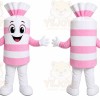 Pink Striped Candy Mascot Costume