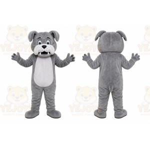 Gray Dog Mascot Costume