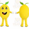 Yellow Fruit Mascot Costume